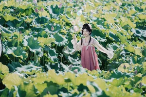 YiTuYu Art Language Vol.9944: Featuring the Elegant Gui Hua Ya - image 13