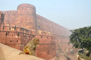 Exploring the World’s Most Beautiful and Historic Ancient Fortresses - image 0