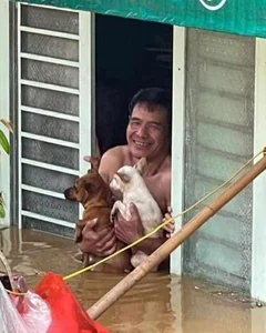 Heartwarming Moments: Animal Rescues During the Flood Season - image 3