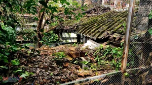 The Tragic Decay of Thanh Hoa's Historic Chinese Merchant Assembly Hall - image 1