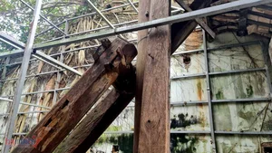 The Tragic Decay of Thanh Hoa's Historic Chinese Merchant Assembly Hall - image 5