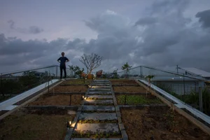 The Innovative Da Nang House Featuring Beautiful Terraced Roof Gardens - image 9