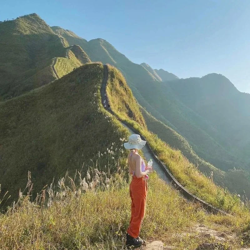 Binh Lieu's White Reed Grass: A Heavenly Autumn Destination in Vietnam