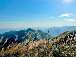 Binh Lieu's White Reed Grass: A Heavenly Autumn Destination in Vietnam - image 4