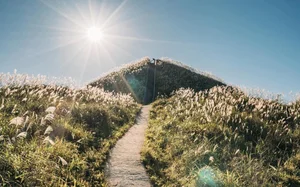 Binh Lieu's White Reed Grass: A Heavenly Autumn Destination in Vietnam - image 1