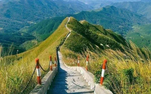Binh Lieu's White Reed Grass: A Heavenly Autumn Destination in Vietnam - image 5