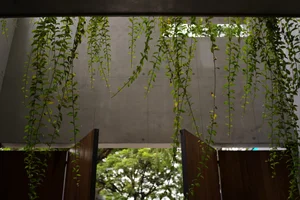 Dang House: Innovative 100m² Modern Townhouse with Natural Light Design - image 24