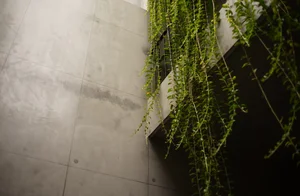 Dang House: Innovative 100m² Modern Townhouse with Natural Light Design - image 25