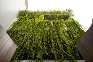 Dang House: Innovative 100m² Modern Townhouse with Natural Light Design - image 2