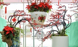 Luxury Winterberry Branches Become Tet 2025 Decor Trend - image 5
