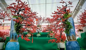 Luxury Winterberry Branches Become Tet 2025 Decor Trend - image 7