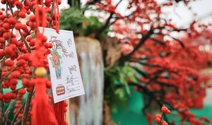 Luxury Winterberry Branches Become Tet 2025 Decor Trend - image 0