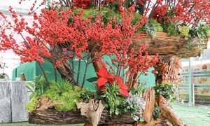 Luxury Winterberry Branches Become Tet 2025 Decor Trend - image 2