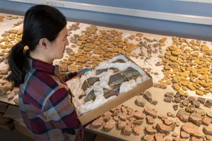 Ancient Roman Fresco Revealed: A Masterpiece Restored After 2,000 Years of Decay - image 4