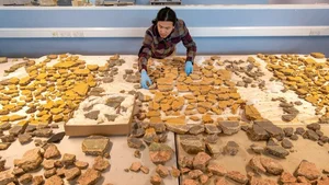 Ancient Roman Fresco Revealed: A Masterpiece Restored After 2,000 Years of Decay - image 5