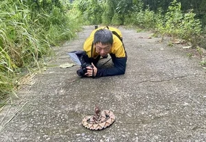 Majestic Encounter with Rare 'God Snake' Leaves Experts in Awe - image 9