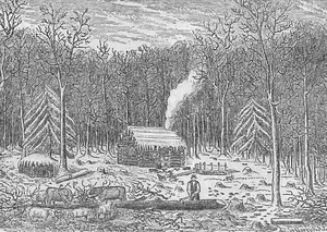 The Year Without a Summer: A Global Climate Tragedy Explained - image 6
