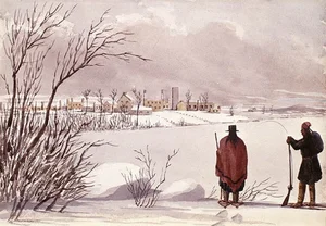 The Year Without a Summer: A Global Climate Tragedy Explained - image 9