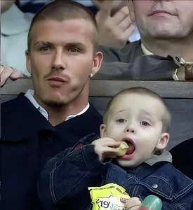 Inside the Beckham Family Fortune: Massive Wealth vs. Children's Career Struggles - image 1