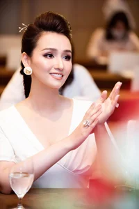 The Wealthy Actress of Northern Vietnam: Success and Controversy - image 6