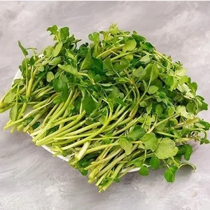 Discover the 'Best Vegetable in the World' Found Abundantly in Vietnamese Markets - image 1