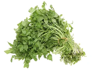 Discover the 'Best Vegetable in the World' Found Abundantly in Vietnamese Markets - image 0