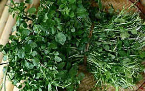 Discover the 'Best Vegetable in the World' Found Abundantly in Vietnamese Markets - image 2