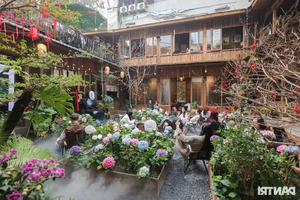 Hanoi Coffee Shop Draws Thousands with Stunning Hydrangea Garden and Artificial Mist - image 10