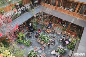Hanoi Coffee Shop Draws Thousands with Stunning Hydrangea Garden and Artificial Mist - image 7