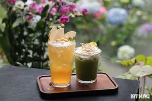 Hanoi Coffee Shop Draws Thousands with Stunning Hydrangea Garden and Artificial Mist - image 9