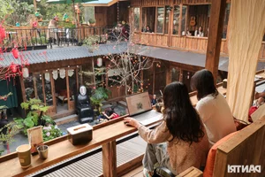 Hanoi Coffee Shop Draws Thousands with Stunning Hydrangea Garden and Artificial Mist - image 1