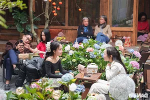 Hanoi Coffee Shop Draws Thousands with Stunning Hydrangea Garden and Artificial Mist - image 8