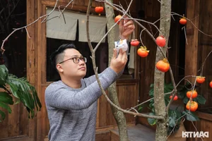 Hanoi Coffee Shop Draws Thousands with Stunning Hydrangea Garden and Artificial Mist - image 2