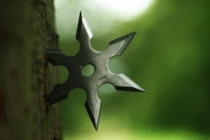 8 Legendary and Deadly Combat Techniques of the Ancient Japanese Ninja - image 7