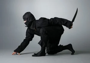 8 Legendary and Deadly Combat Techniques of the Ancient Japanese Ninja - image 2
