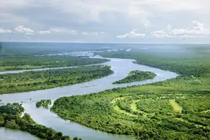 Discover Garamba National Park: Sanctuary of the World's Rarest White Rhinoceros - image 4