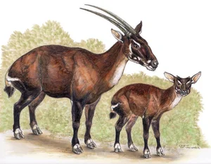The Surprising Truth About the Rarest and Most Mysterious Mythical Creature in Vietnam - image 1