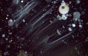 The Incredible Science Behind Diamond Rain on Distant Planets - image 5