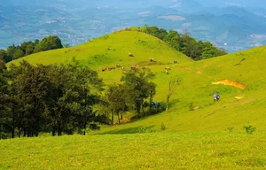 Discover the Lush Green Steppes of Thanh Hoa: A Perfect Trekking Destination in Vietnam - image 5