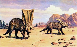 The Extraordinary Shield-Bearing Dinosaur: A Unique Discovery in Paleontology - image 5