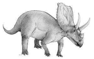 The Extraordinary Shield-Bearing Dinosaur: A Unique Discovery in Paleontology - image 2