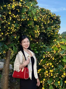 Check-in: The Picture-Perfect Ancient Cactus Garden in Moc Chau - image 2