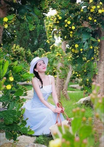 Check-in: The Picture-Perfect Ancient Cactus Garden in Moc Chau - image 1