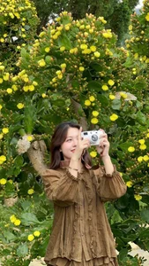 Check-in: The Picture-Perfect Ancient Cactus Garden in Moc Chau - image 3