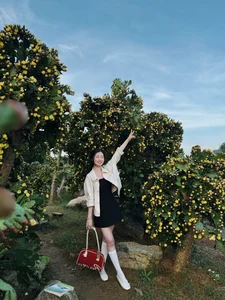 Check-in: The Picture-Perfect Ancient Cactus Garden in Moc Chau - image 4