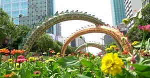 Spectacular Dragon Mascots of Vietnam's Tet Giap Thin 2024 - image 12