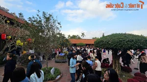 Exploring the Sacred Tue Tinh Temple in Hai Duong - image 9