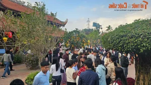 Exploring the Sacred Tue Tinh Temple in Hai Duong - image 6