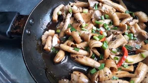 The Rare Midnight Mushroom: Why This Delicacy Costs Millions - image 3