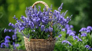 Top 10 Most Fragrant Flowers in the World: Discover the Scent of Vietnam's Favorite - image 3
